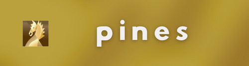 pines personalizados con tu logo