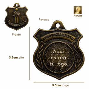 medalla de premiación de aprovechamiento en estilo oro antiguo con foto personalizable al reverso para escuelas