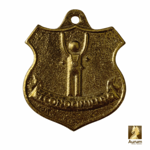 medalla de premiación de Reconocimiento para alumnos en estilo latón brillante