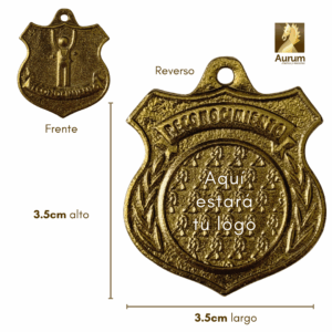 medalla de premiación de Reconocimiento para alumnos en estilo dorado en latón brillante con logo personalizable al reverso para una escuela